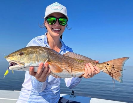 Redfish Fishing in Miami, Florida