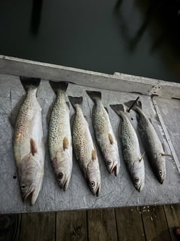 Fishing in Emerald Isle, North Carolina