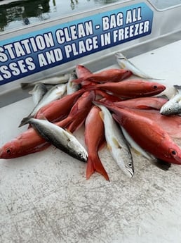 Fishing in Shalimar, Florida