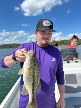 Fishing in Kimberling City, Missouri