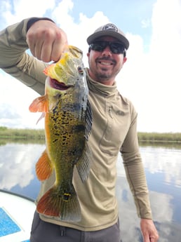 Fishing in Pembroke Pines, Florida