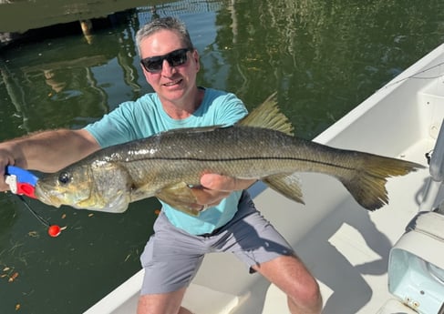 Snook Fishing in St. Petersburg, Florida