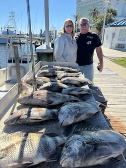 Fishing in Biloxi, Mississippi
