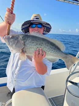 Gag Grouper Fishing in Destin, Florida