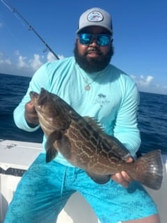 Fishing in Marathon, Florida