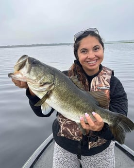 Largemouth Bass Fishing in Kissimmee, Florida