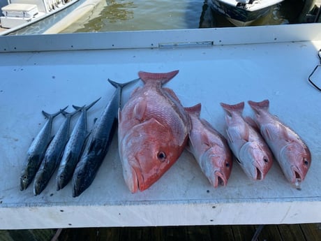 Fishing in Gulf Shores, Alabama