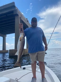 Redfish Fishing in Pensacola, Florida