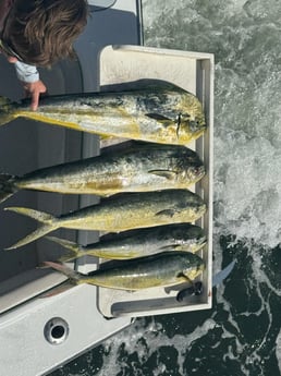 Fishing in Fort Lauderdale, Florida