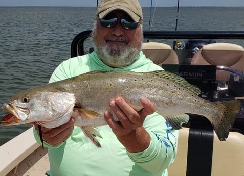 Speckled Trout / Spotted Seatrout fishing in Tiki Island, Texas