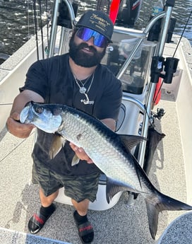 Tarpon Fishing in Holmes Beach, Florida