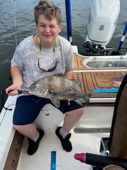 Black Drum fishing in Little River, South Carolina