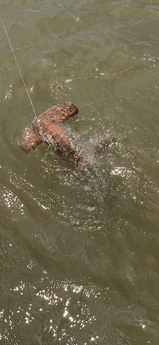 Fishing in Galveston, Texas