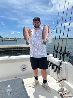 Fishing in Belleair Bluffs, Florida