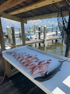 Fishing in Gulf Shores, Alabama