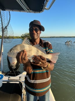 Black Drum Fishing in Naples, Florida