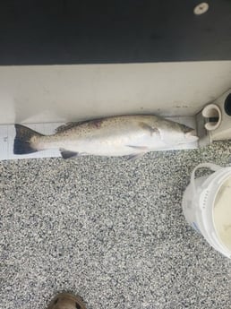 Fishing in Galveston, Texas