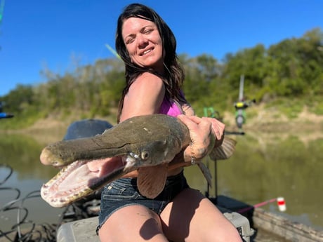 Alligator Gar Fishing in Dallas, Texas