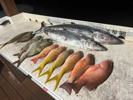 Fishing in Jupiter, Florida