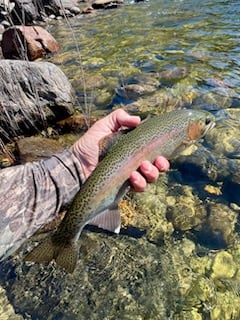 Fishing in Hume, California
