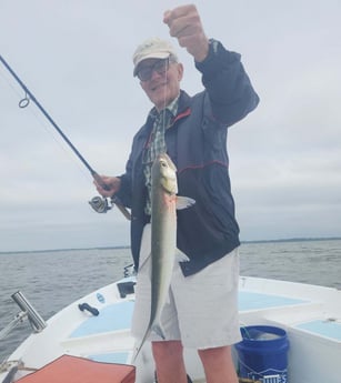 Bluefish Fishing in Trails End, North Carolina