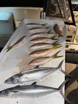 Fishing in Big Pine Key, Florida