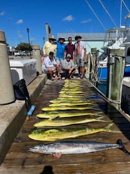 Mahi Mahi / Dorado, Wahoo fishing in Beaufort, North Carolina