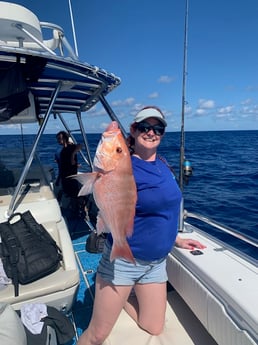 Red Snapper fishing in Fort Myers Beach, Florida