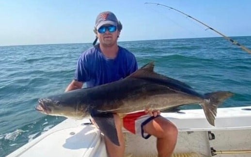 Cobia fishing in Virginia Beach, Virginia