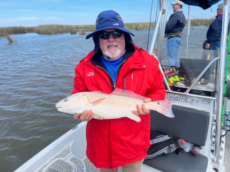 Redfish Fishing in Buras, Louisiana