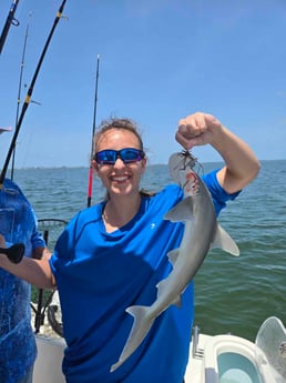 Fishing in Sarasota, Florida