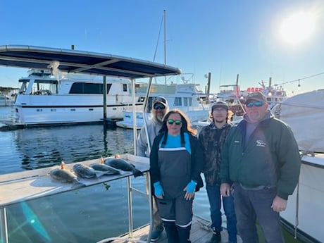 Gag Grouper Fishing in Crystal River, Florida