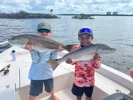 Fishing in Estero, Florida