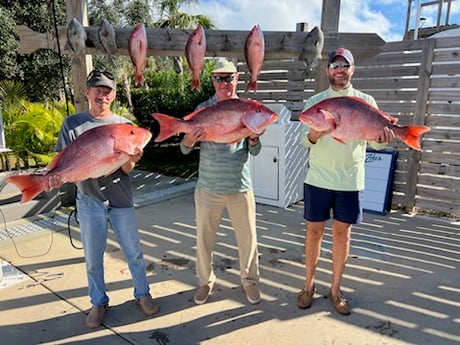 Fishing in Orange Beach, Alabama