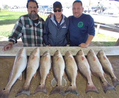 Redfish fishing in San Antonio, Texas