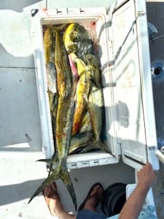 Fishing in Pompano Beach, Florida