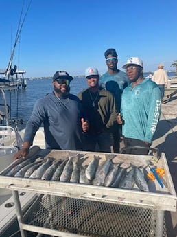 Fishing in Bradenton, Florida