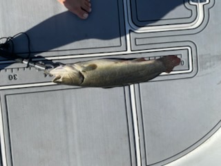 Fishing in Pembroke Pines, Florida