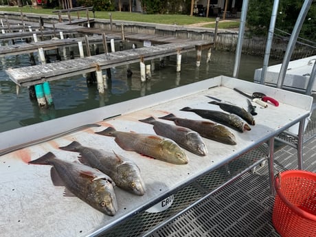 Fishing in Rio Hondo, Texas