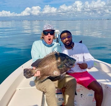 Fishing in Sarasota, Florida