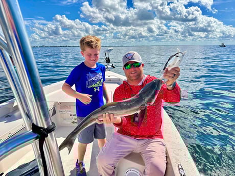 Cobia Fishing in Sarasota, Florida