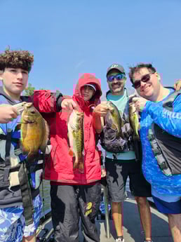 Fishing in Deerfield Beach, Florida