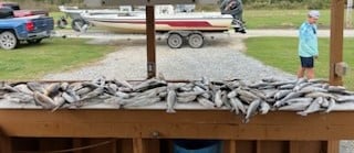 Speckled Trout Fishing in Boothville-Venice, Louisiana