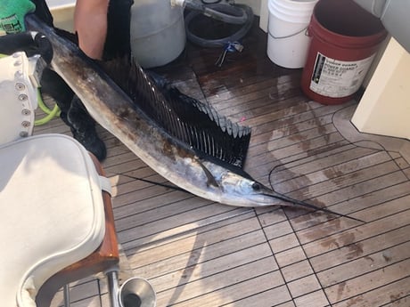 Wahoo fishing in West Palm Beach, Florida