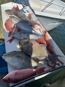 Fishing in Shalimar, Florida