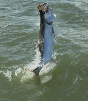 Fishing in Marco Island, Florida