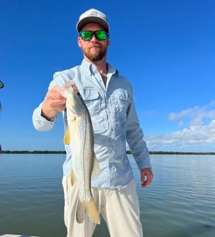 Snook Fishing in Islamorada, Florida