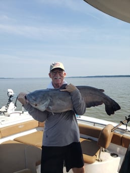 Fishing in Sandston, Virginia