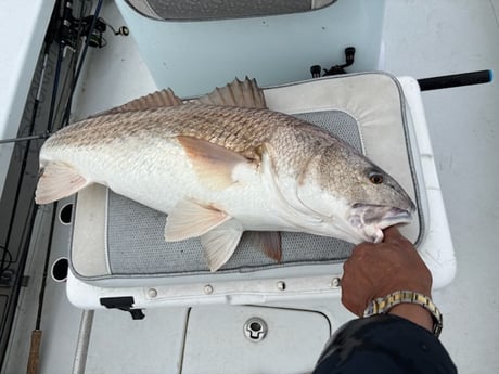 Fishing in Slidell, Louisiana