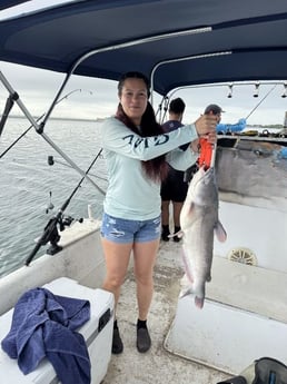 Blue Catfish Fishing in